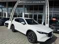Mazda CX-5 CX-5 2.2 Advantage 2wd 150cv auto IVA ESPOSTA Bianco - thumbnail 1