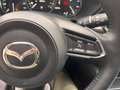 Mazda CX-5 CX-5 2.2 Advantage 2wd 150cv auto IVA ESPOSTA Bianco - thumbnail 13