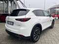 Mazda CX-5 CX-5 2.2 Advantage 2wd 150cv auto IVA ESPOSTA Bianco - thumbnail 4