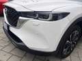 Mazda CX-5 CX-5 2.2 Advantage 2wd 150cv auto IVA ESPOSTA Bianco - thumbnail 7
