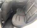 Mazda CX-5 CX-5 2.2 Advantage 2wd 150cv auto IVA ESPOSTA Bianco - thumbnail 10