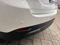 Mazda CX-5 CX-5 2.2 Advantage 2wd 150cv auto IVA ESPOSTA Bianco - thumbnail 9