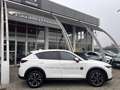 Mazda CX-5 CX-5 2.2 Advantage 2wd 150cv auto IVA ESPOSTA Bianco - thumbnail 3