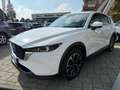 Mazda CX-5 CX-5 2.2 Advantage 2wd 150cv auto IVA ESPOSTA Bianco - thumbnail 3