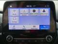 Ford Puma 1.0 M-Hybrid Titanium Design LED Klima PDC Weiß - thumbnail 13