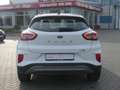 Ford Puma 1.0 M-Hybrid Titanium Design LED Klima PDC Weiß - thumbnail 4