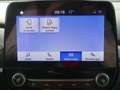 Ford Puma 1.0 M-Hybrid Titanium Design LED Klima PDC Weiß - thumbnail 12