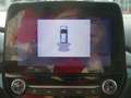Ford Puma 1.0 M-Hybrid Titanium Design LED Klima PDC Weiß - thumbnail 14