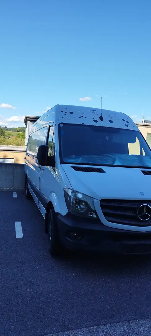 Mercedes-Benz Sprinter Sprinter 316 CDI 3,5 t / 4.325 mm Aut. Weiß - 1