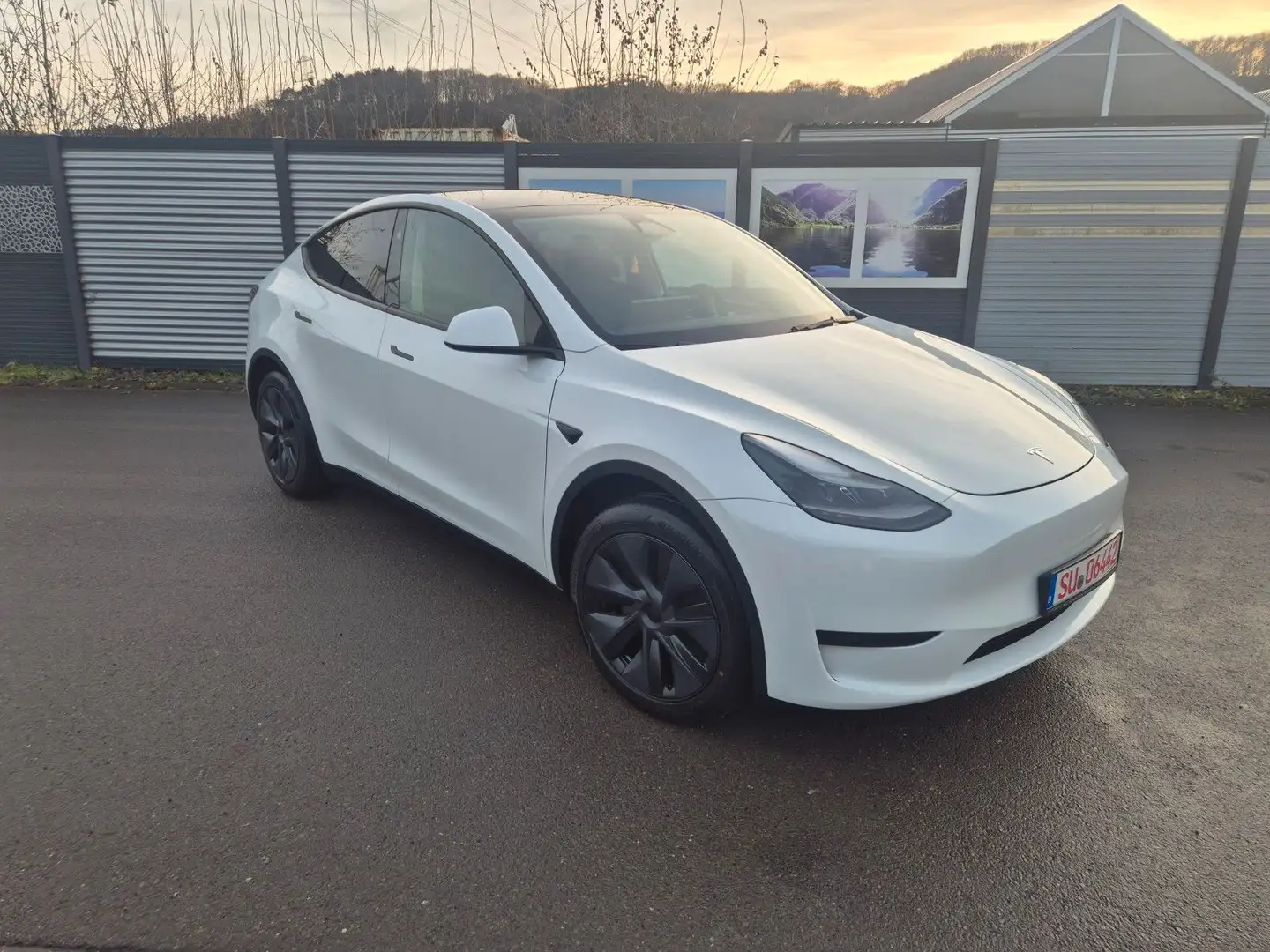 Tesla Model Y Basis RWD Weiß - 2