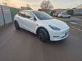 Tesla Model Y Basis RWD Weiß - thumbnail 7