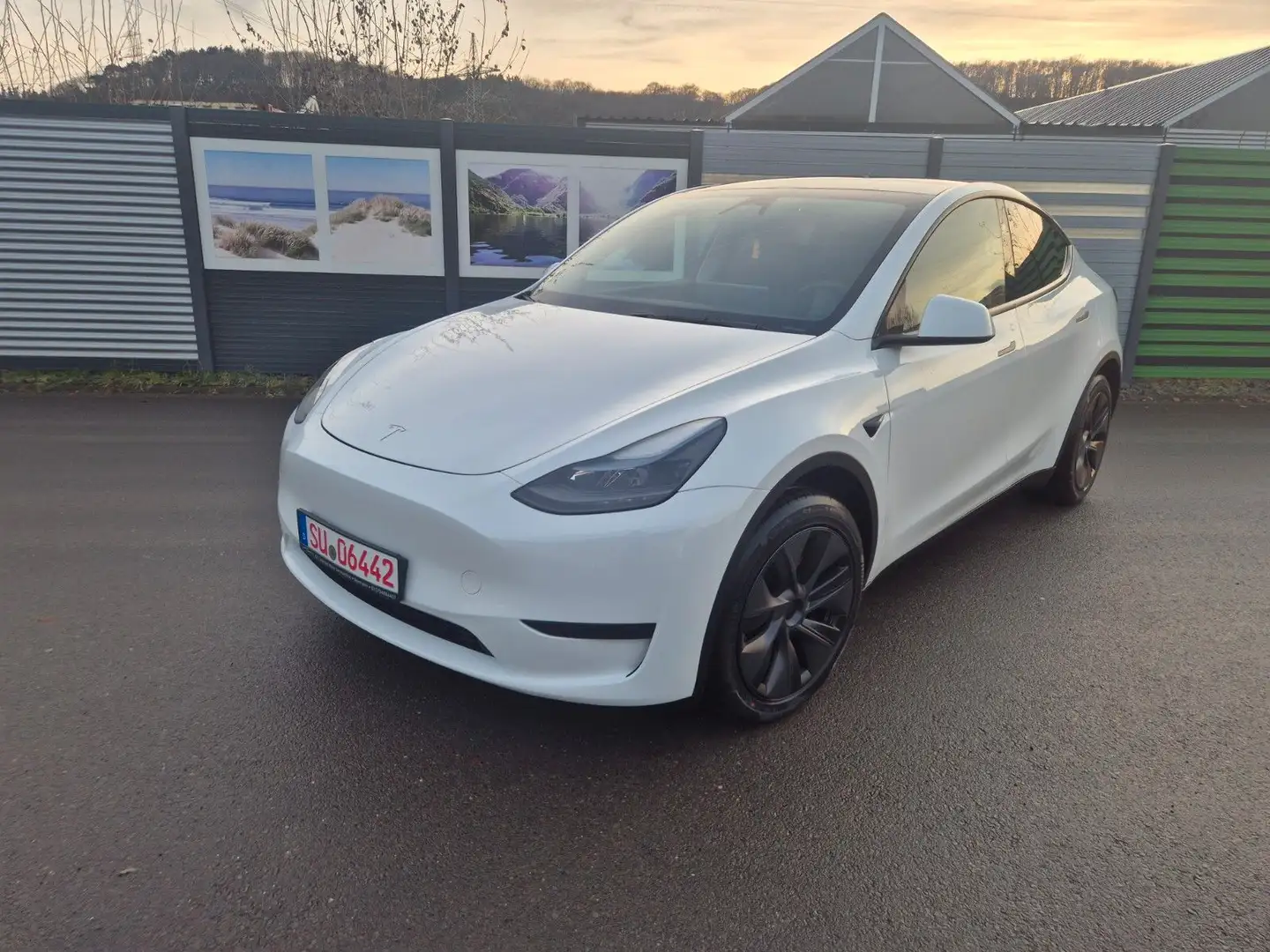 Tesla Model Y Basis RWD Weiß - 1