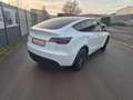 Tesla Model Y Basis RWD Weiß - thumbnail 5