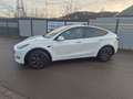 Tesla Model Y Basis RWD Weiß - thumbnail 6