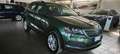 Skoda Karoq Karoq 2017 2.0 tdi evo Ambition 4x4 150cv dsg Verde - thumbnail 2