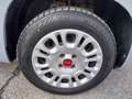 Fiat Panda Panda III 2021 1.0 firefly hybrid s Blu/Azzurro - thumbnail 10
