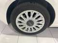 Fiat 500 1.0 Hybrid Dolcevita 52kW Wit - thumbnail 6