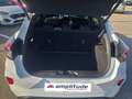 Ford Flex 1.0 Flexifuel 125ch S\u0026S mHEV ST-Line Blanc - thumbnail 13
