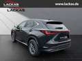 Lexus NX 350h 243 PS - Business Connect - Paket Schwarz - thumbnail 3