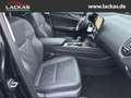 Lexus NX 350h 243 PS - Business Connect - Paket Schwarz - thumbnail 16