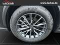 Lexus NX 350h 243 PS - Business Connect - Paket Schwarz - thumbnail 21