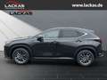 Lexus NX 350h 243 PS - Business Connect - Paket Schwarz - thumbnail 2