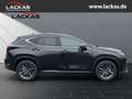 Lexus NX 350h 243 PS - Business Connect - Paket Schwarz - thumbnail 6