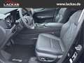 Lexus NX 350h 243 PS - Business Connect - Paket Schwarz - thumbnail 10