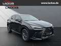 Lexus NX 350h 243 PS - Business Connect - Paket Schwarz - thumbnail 7