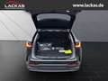 Lexus NX 350h 243 PS - Business Connect - Paket Schwarz - thumbnail 19