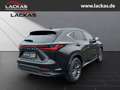 Lexus NX 350h 243 PS - Business Connect - Paket Schwarz - thumbnail 5