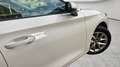 SEAT Leon 2.0 TDI 85kW S&S Reference Go Blanc - thumbnail 25