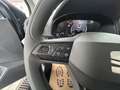 SEAT Arona 1,0 Eco TSI Reference Edition Grau - thumbnail 12