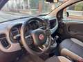 Fiat Panda 1.0 FireFly S&S Hybrid City Life Gris - thumbnail 12