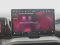 Skoda Kodiaq RS 4x4 TSI DSG Grau - thumbnail 21