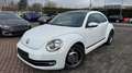 Volkswagen Beetle Cup 1.4 TSI | PARKHILFE | SITZ-HEIZUNG Wit - thumbnail 2