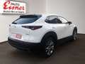 Mazda CX-30 G140 EXCLUSIVE-LINE 2xKlima 360 ACC HUD LM - thumbnail 13