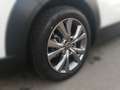 Mazda CX-30 G140 EXCLUSIVE-LINE 2xKlima 360 ACC HUD LM - thumbnail 5