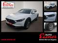 Mazda CX-30 G140 EXCLUSIVE-LINE 2xKlima 360 ACC HUD LM - thumbnail 1