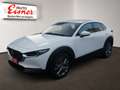 Mazda CX-30 G140 EXCLUSIVE-LINE 2xKlima 360 ACC HUD LM - thumbnail 3