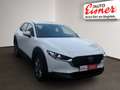 Mazda CX-30 G140 EXCLUSIVE-LINE 2xKlima 360 ACC HUD LM - thumbnail 16
