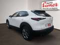 Mazda CX-30 G140 EXCLUSIVE-LINE 2xKlima 360 ACC HUD LM - thumbnail 11