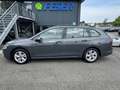Volkswagen Golf VIII Variant 2.0 TDI Life DSG AHK ACC LED Grigio - thumbnail 5