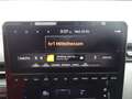Hyundai STARIA 2.2 CRDi 4WD Trend inkl. Big Deal! Gris - thumbnail 19