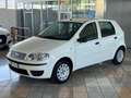 Fiat Punto Classic 1.2 5 porte Natural Power Active Bianco - thumbnail 1