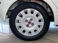 Fiat Punto Classic 1.2 5 porte Natural Power Active Bianco - thumbnail 14