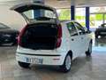 Fiat Punto Classic 1.2 5 porte Natural Power Active Bianco - thumbnail 13