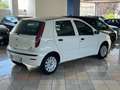 Fiat Punto Classic 1.2 5 porte Natural Power Active Bianco - thumbnail 4
