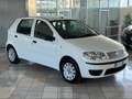 Fiat Punto Classic 1.2 5 porte Natural Power Active Bianco - thumbnail 2