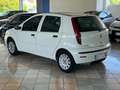 Fiat Punto Classic 1.2 5 porte Natural Power Active Bianco - thumbnail 3